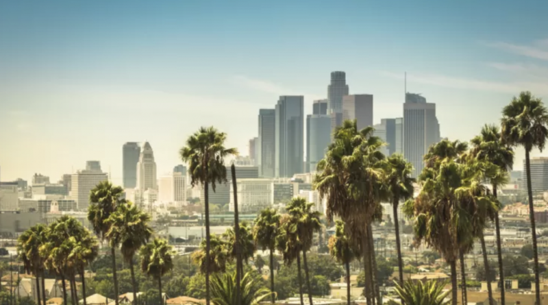 View of Downtown Los Angeles through some palm trees